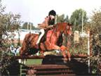 13hh Open WHP/All Rounder